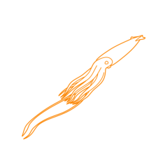 Animals Cephalopods Giant Squid Laser Cut Svg File, Free Vectors File